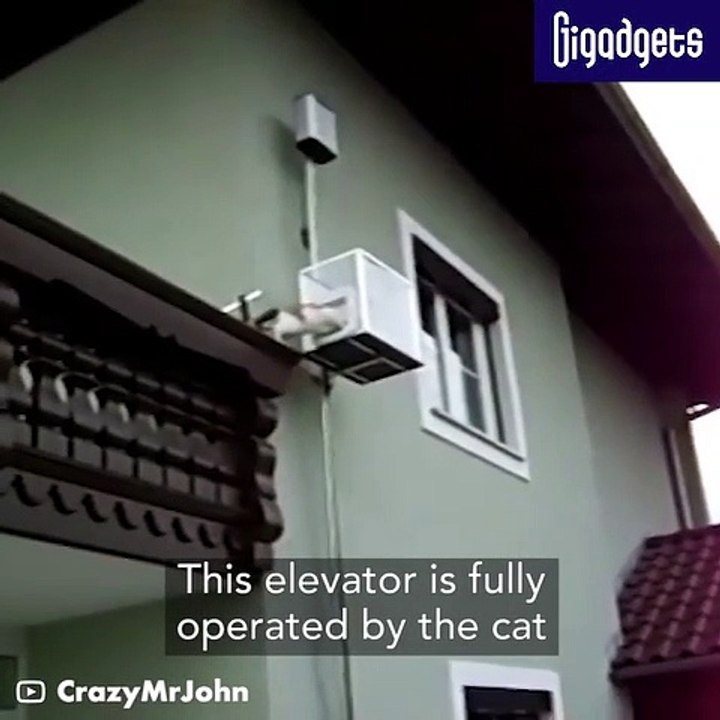 DIY cat elevator (This elevator is fully operated by the cat.…)