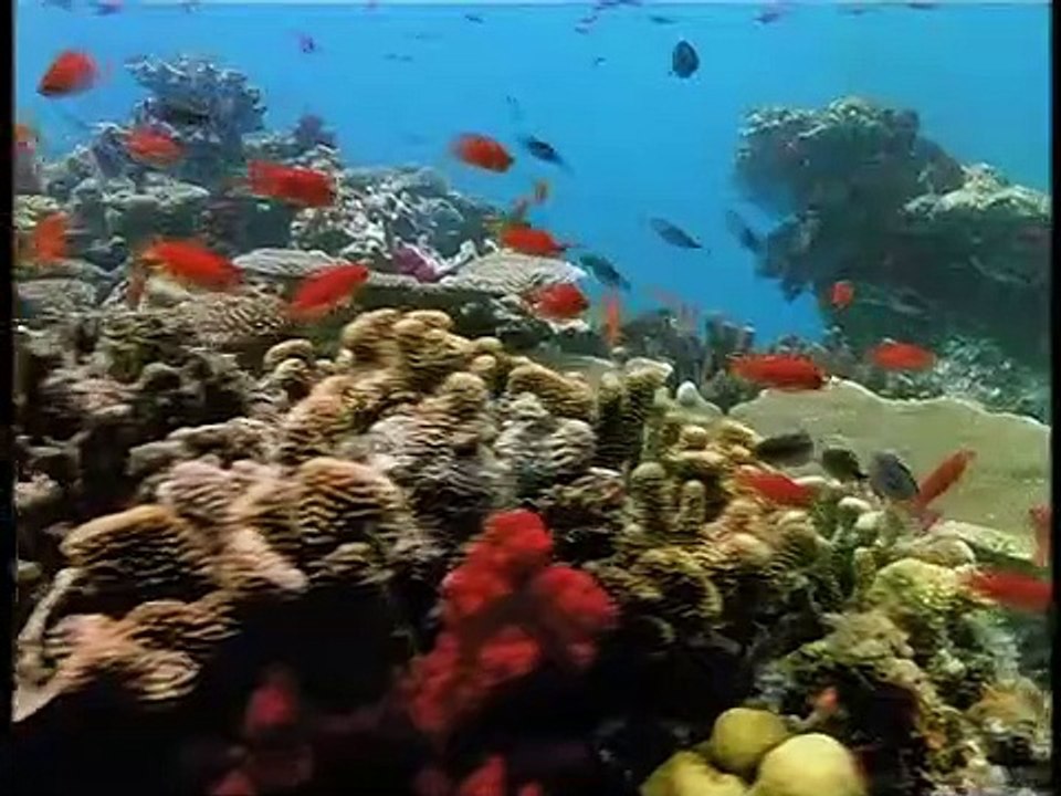 Das Traumschiff Staffel 1 Folge 46 - Part 02 HD Deutsch