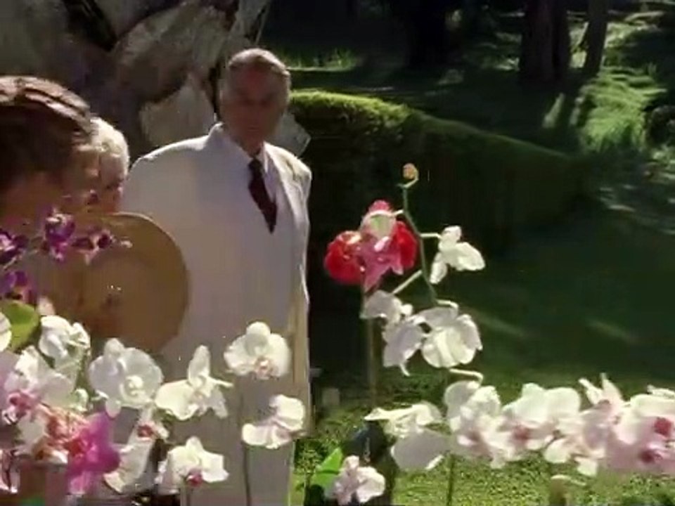 Das Traumschiff Staffel 1 Folge 47 - Part 01 HD Deutsch