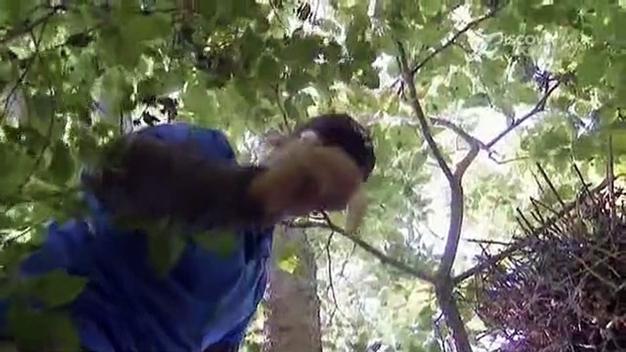 Dirty Jobs - Arbeit, die keiner machen will Staffel 2 Folge 19 HD Deutsch