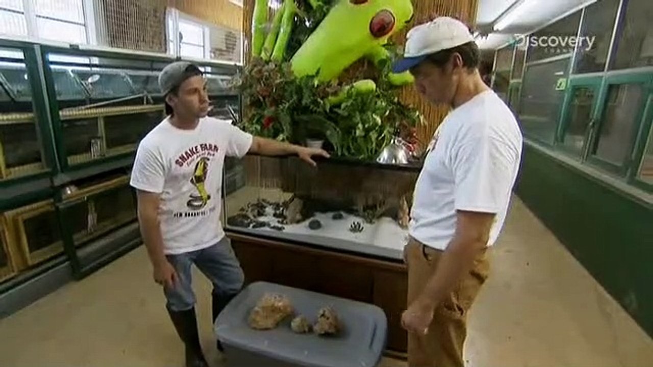 Dirty Jobs - Arbeit, die keiner machen will Staffel 2 Folge 15 HD Deutsch