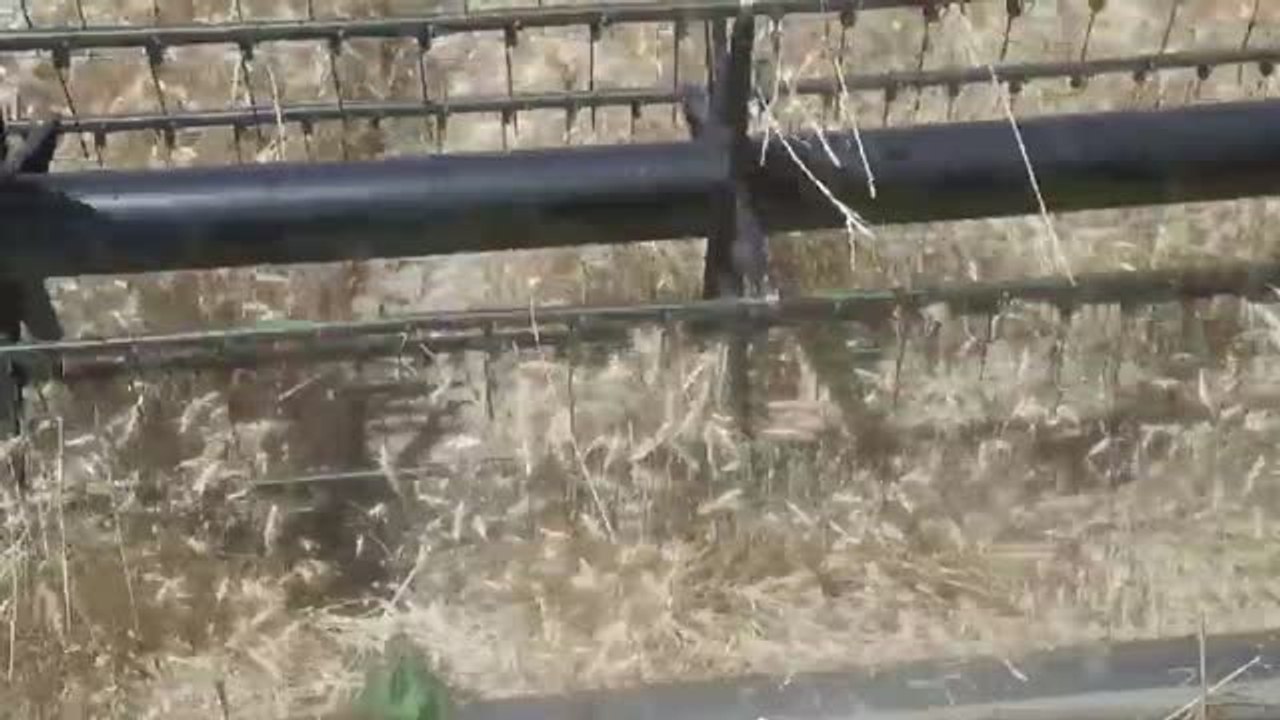 Rusia mantiene el bloqueo de más de 170 buques de grano en el mar Negro