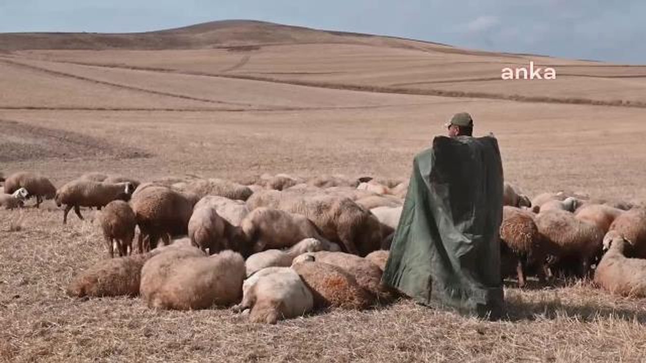 Yozgat Bozok Üniversitesi Ziraat Fakültesi Öğretim Üyesi Dr. Ermetin Çobanlara, Sorunlarının Çözüm Önerilerine İlişkin Kitabını Dağıtıyor