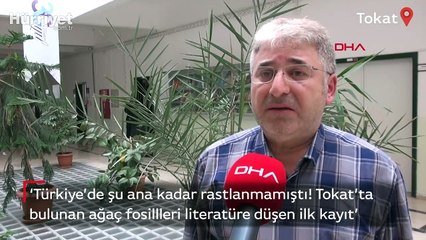 Tokat'ta tropikal iklim kuşağına ait 41,5 milyon yıllık ağaç fosilleri bulundu