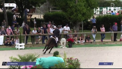 Grand National FFE - AC Print - CSO | Cluny (FRA) | Damien DEMAISON | CHILOE DE KREISKER