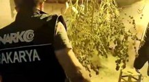 Sakarya'da uyuşturucuya geçit yok: 121 şüpheli yakalandı