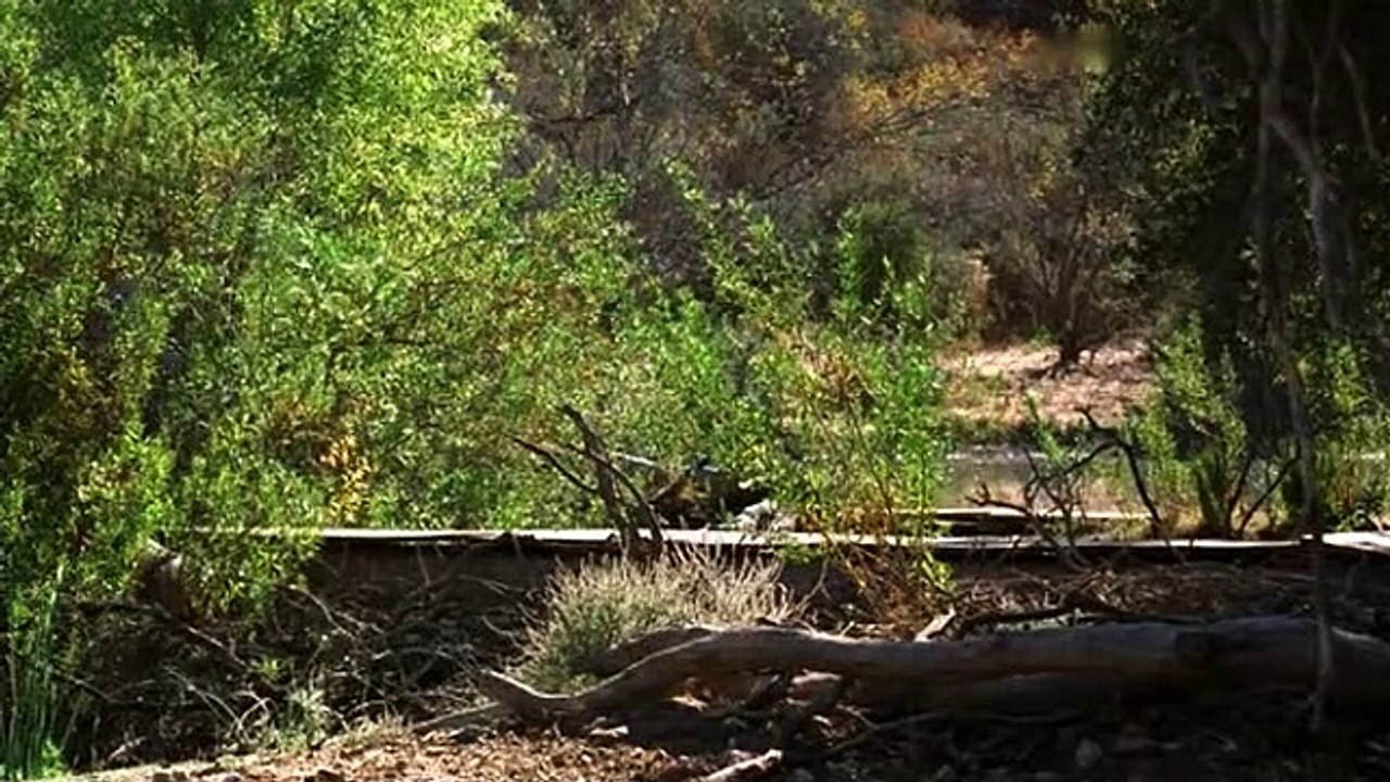 Vanished Staffel 1 Folge 12 HD Deutsch