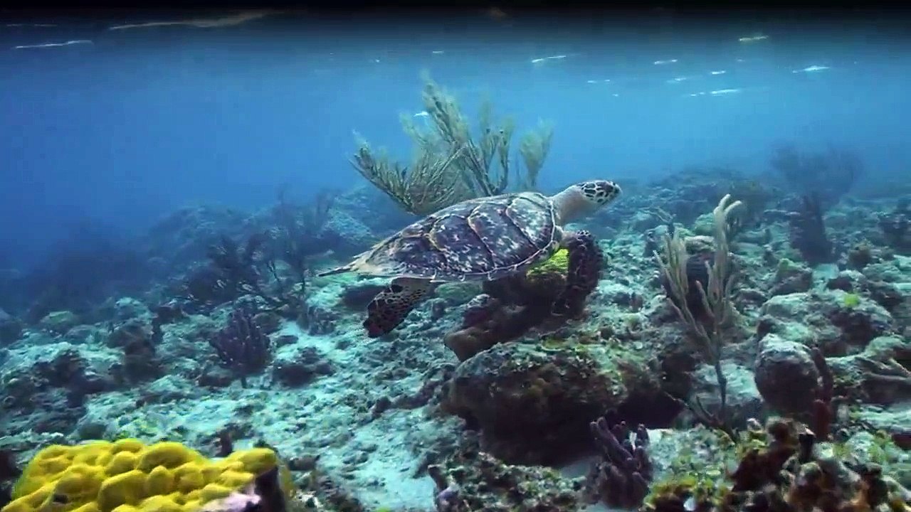 Stimmungen der Erde Staffel 1 Folge 3 HD Deutsch