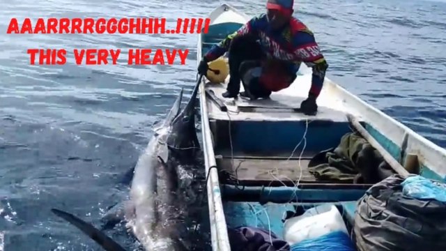 AMAZING..!!! HANDLINE FISHING CAN BLUE MARLIN IS VERY BIG, NOT STRONG TO RAISE TO THE BOAT #handlinefishing