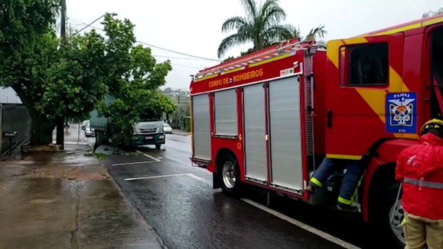 Caminhão atinge árvore no Centro; Bombeiros são acionados para realizar corte