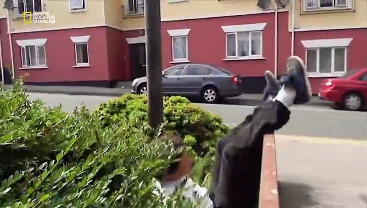 Science of Stupid Wissenschaft der Missgeschicke Staffel 2 Folge 17 HD Deutsch