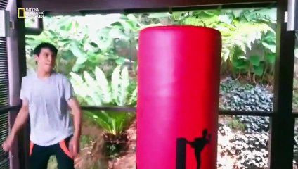 Science of Stupid Wissenschaft der Missgeschicke Staffel 2 Folge 9 HD Deutsch