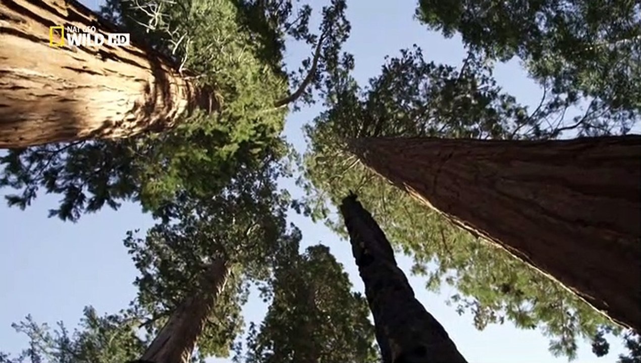 Amerikas Nationalparks Staffel 1 Folge 2 HD Deutsch