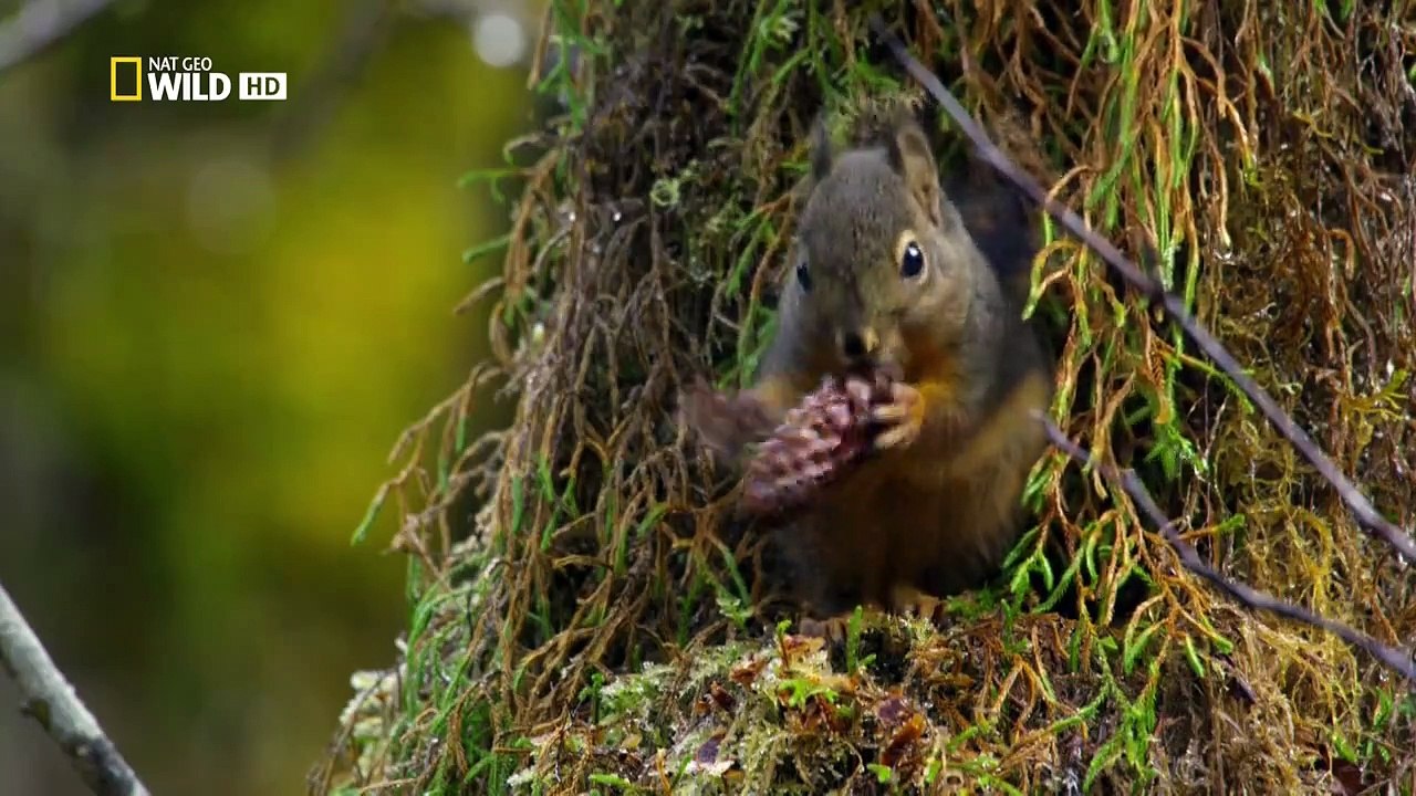 Amerikas Nationalparks Staffel 1 Folge 1 HD Deutsch