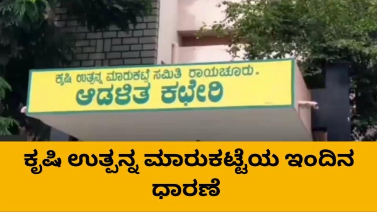 ರಾಯಚೂರು : ಮಾರುಕಟ್ಟೆಯಲ್ಲಿ ಕೇಳೋರಿಲ್ಲ ಸೋನಾ ಮಸೂರಿ !