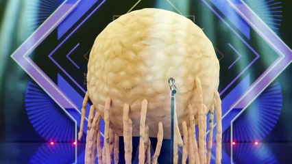 Binge Reloaded Staffel 1 Folge 8 HD Deutsch