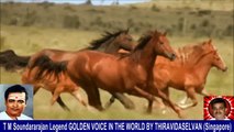 Old Is Gold (evergreen) T M Soundararajan Legend Vol 229 Horse Song 2,