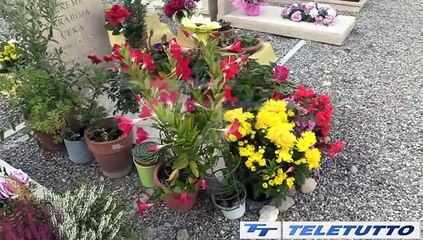 Video News - OGNISSANTI, STANGATA SUI FIORI