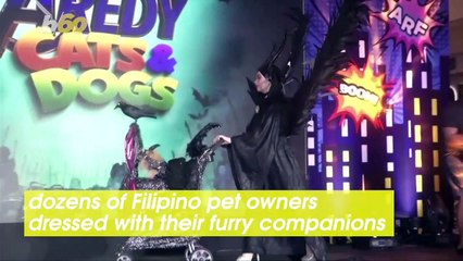 Costume Companions Revealed at This One of a Kind Annual Pet Costume Show