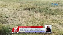 DA: nasa P1.33-B na ang pinsala ng Bagyong Paeng sa agrikultura; puwede pang tumaas ang bilang ng pinsala | 24 Oras