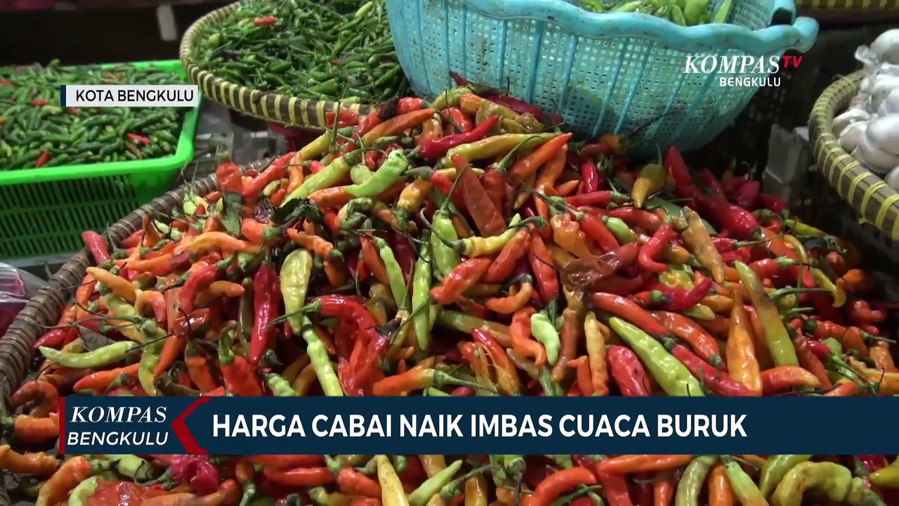 Harga Cabai Naik Imbas Cuaca Buruk - Video Dailymotion