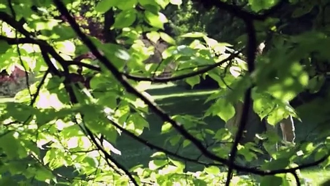 Sanctuary - Wächter der Kreaturen Staffel 3 Folge 6 HD Deutsch