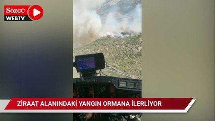 Tarım alanında başlayan yangın ormana ilerliyor