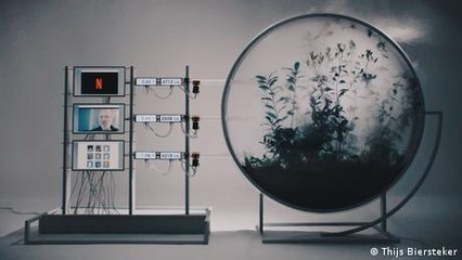 Fighting Climate Change with Art