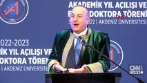 Bakan Çavuşoğlu: Avrupa sadece AB'den ibaret değil