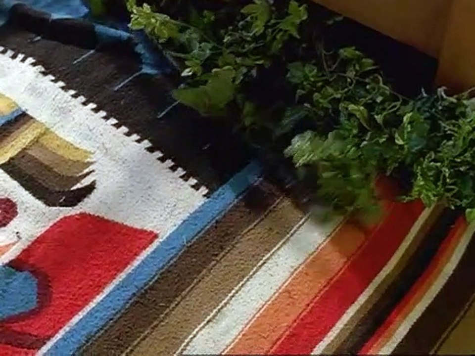 PSI Factor - Es geschieht jeden Tag Staffel 1 Folge 15 HD Deutsch