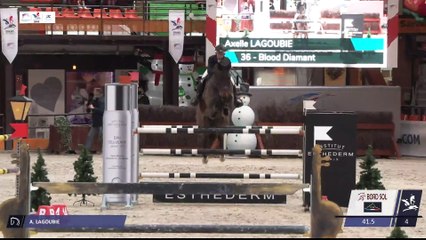 Grand National FFE - AC Print - Finale | Le Mans (FRA) | Axelle LAGOUBIE | BLOOD DIAMANT