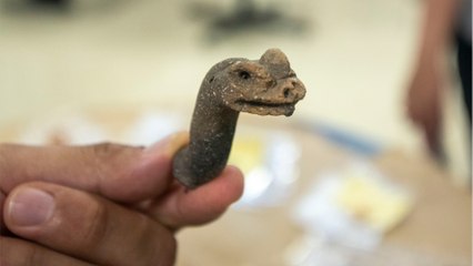 Au Guatemala, une ancienne cité maya livre de nouveaux trésors