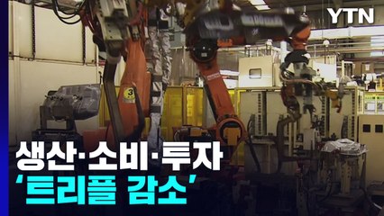 생산·소비·투자 '트리플 감소'...경기 우려 확산 / YTN