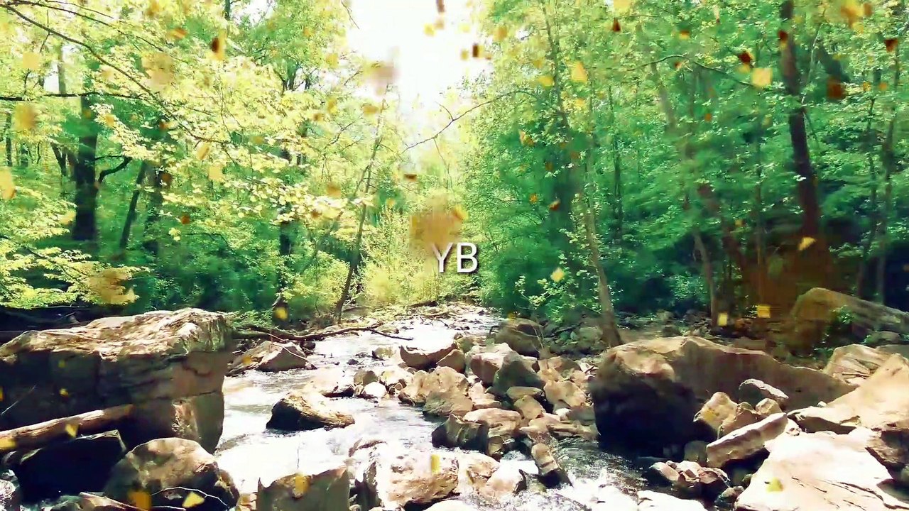River Nature