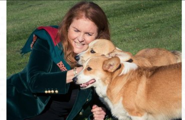 Sarah Ferguson : ‘Les corgis de la reine sont des cadeaux'
