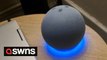 Dad claims his new Alexa told him to 'punch his kids in the throat' when he asked it how to 'stop them laughing'