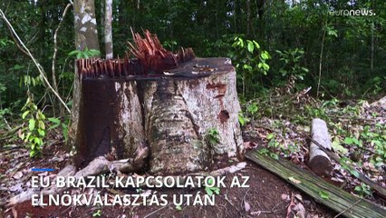 Az EU és Brazília elmúlt években megromlott kapcsolatainak javulására számítanak a szakértők