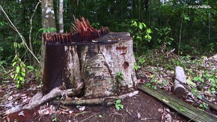 La victoria de Lula augura una nueva relación política y comercial entre Brasil y la Unión Europea