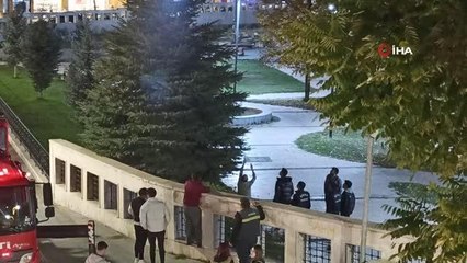 Ne döner ne kedi sesi ağaçtan indiremedi