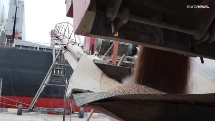 Ukraine war: Russia suspends UN grain deal after drone attack on Black Sea fleet