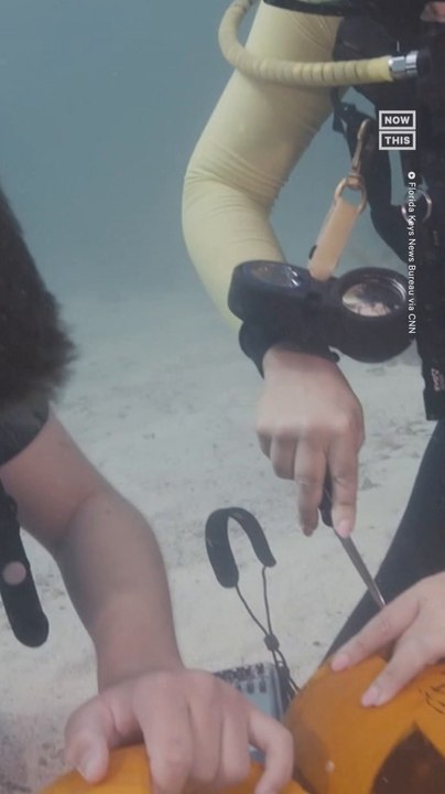 Scuba Divers Carve Pumpkins Underwater in Key Largo, FL