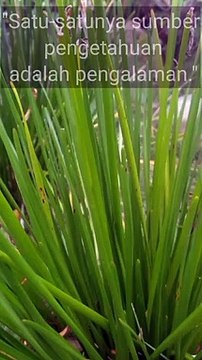 Kata bijak || quotes || kata motivasi