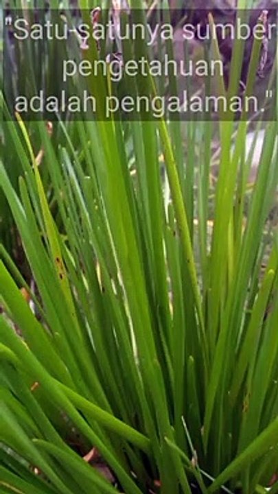 Kata bijak || quotes || kata motivasi