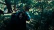 LOTR The Fellowship of the Ring - Extended Edition - Into the Wild
