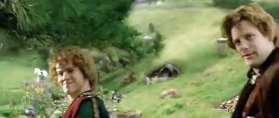 LOTR The Return of the King - Homeward Bound