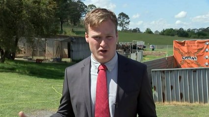 The New South Wales government will increase the age children can remain in state care