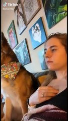 When your dog is more funny than you