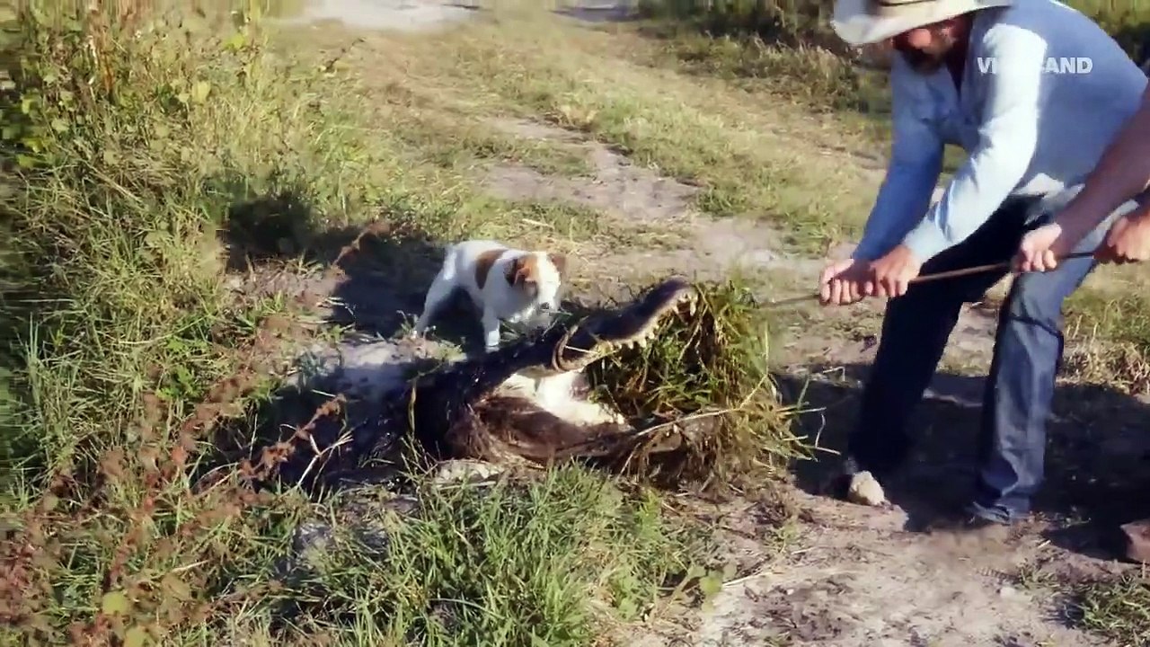 Dead Set On Life - Se3 - Ep02 - The BBQ King of Hollywood HD Watch HD Deutsch