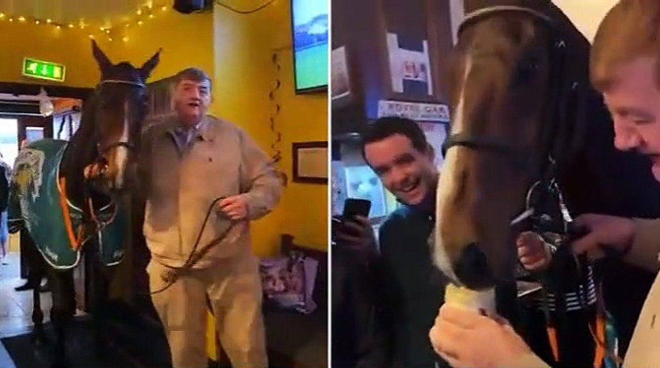 A horse walks into a bar: US Grand National winner Hewick drinks a pint of GUINNESS in a pub with trainer Shark Hanlon as some fans compare moment to Ginger McCain and Red Rum… but others claim the 7-year-old looks 'terrified'