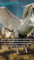 Super Cepat! Kisah Menakjubkan Tunggangan Rasulullah yang Melebihi Kecepatan Cahaya
